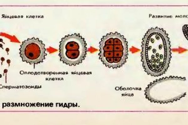 Купить наркотики через кракен