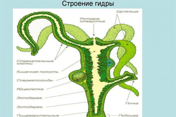 Как войти на сайт кракен